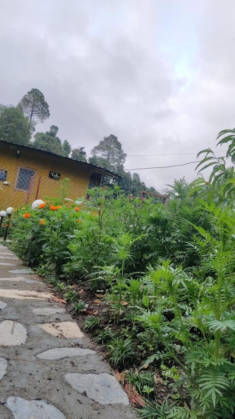 Krishna Kutir, Talla Ramgarh By The Meditating Society ภายนอก รูปภาพ